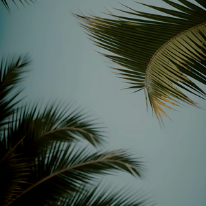 扌喿辶逼的免费视频
