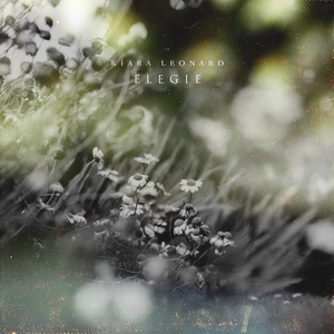 扌喿辶逼的免费视频
